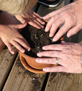 Hands planting